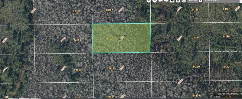 Dill Rd, FL