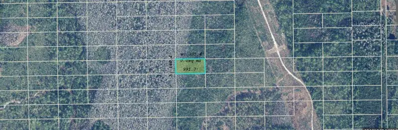 Dill Rd, FL