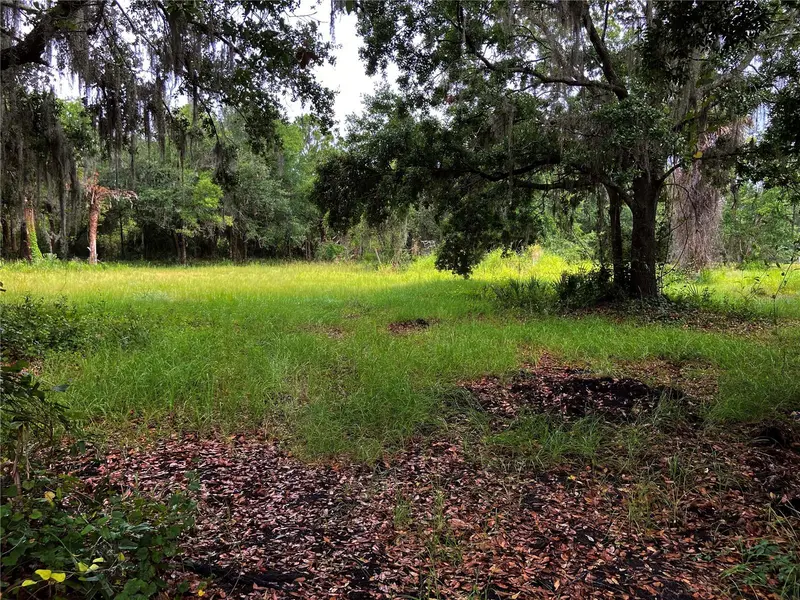 Lightfoot Rd, FL
