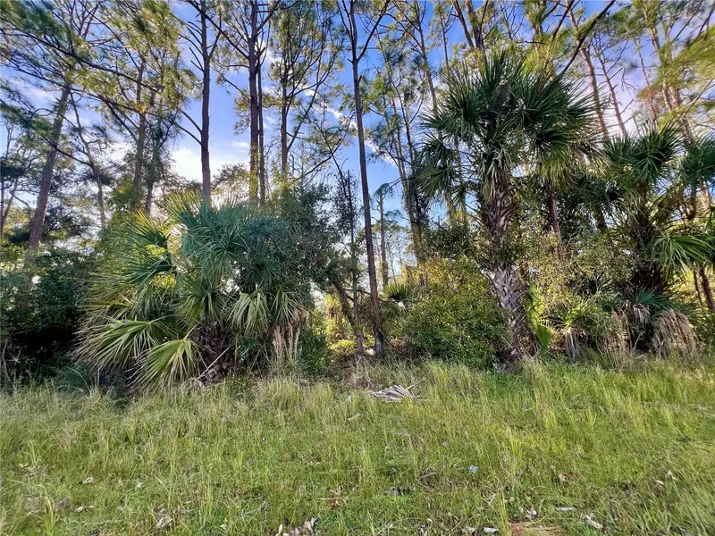 Lummus St, FL