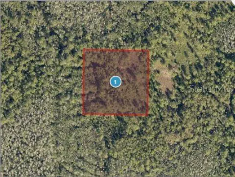 Salyers Rd, FL