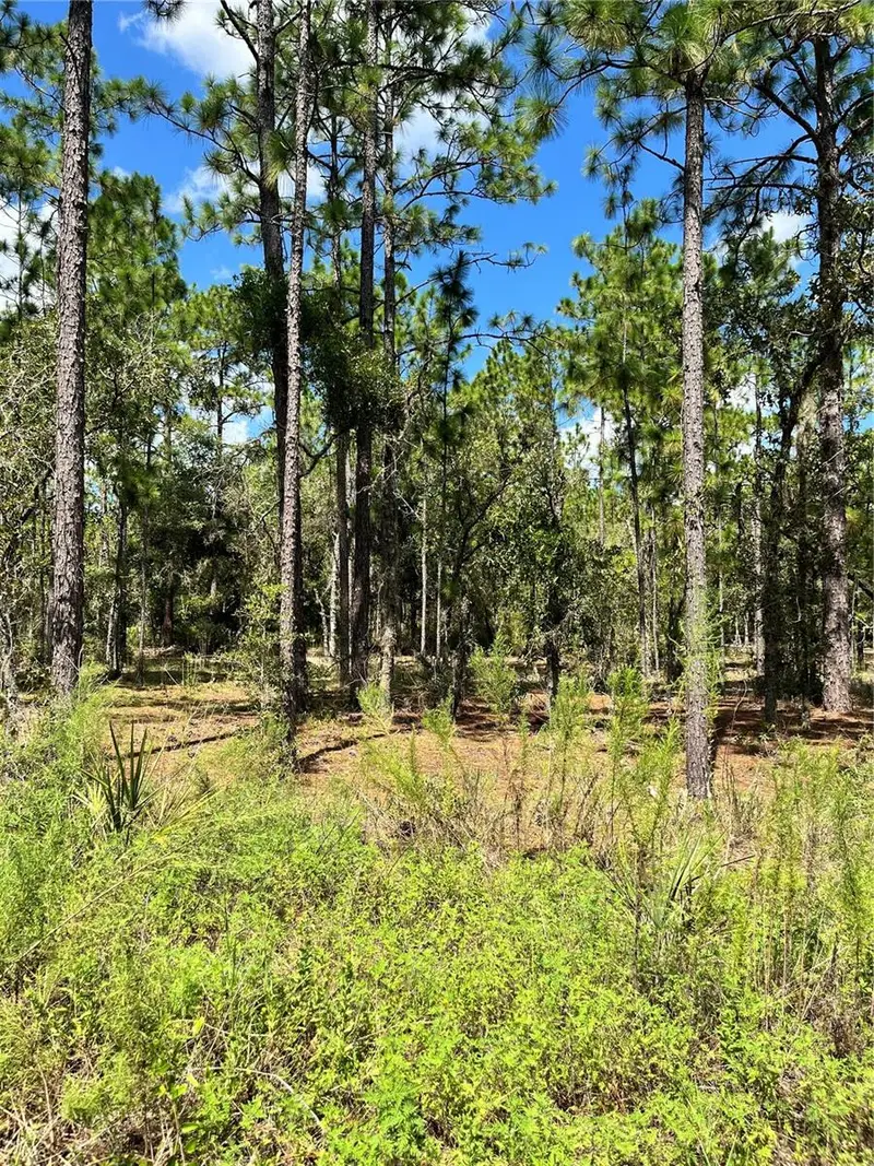 Tbd Sw 156th Ct, FL
