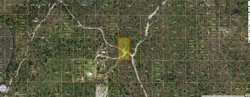 Holopaw Groves Rd, FL