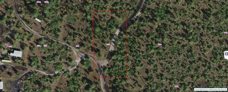 Holopaw Groves Rd, FL