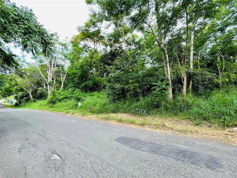 Carr 100 Km 5.2 Bo. Miradero, PR