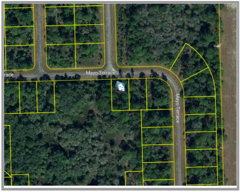 313 James Irwin Ter, FL