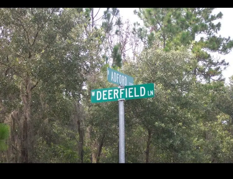 2156 W Deerfield Ln, FL