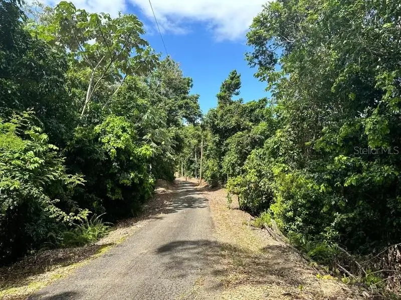 Road Pr-140 Km 34.2 Barrio Don Alonso, PR