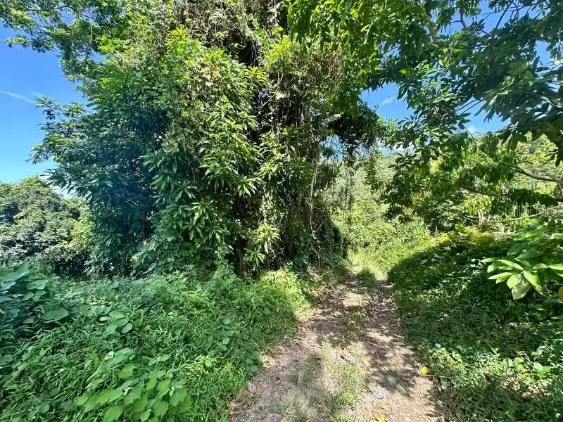 Road Pr-140 Km 34.2 Barrio Don Alonso, PR