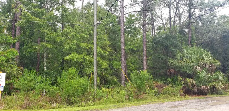 1179 N Tessa Ter, FL