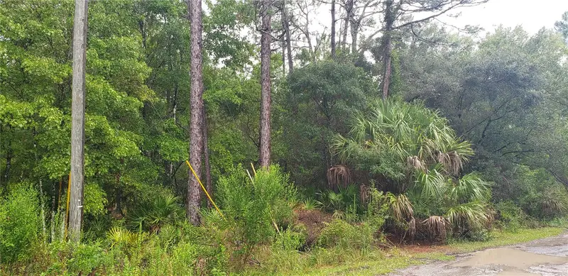 1179 N Tessa Ter, FL
