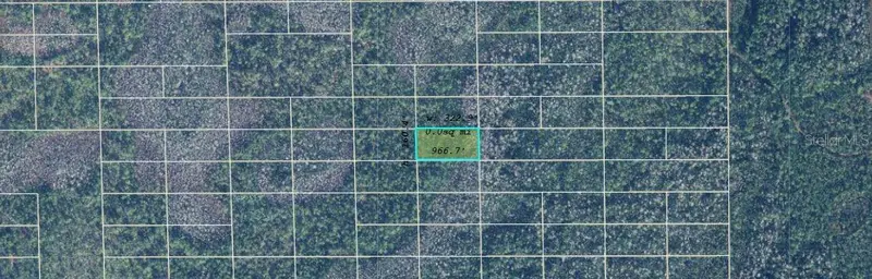 Dill Rd, FL