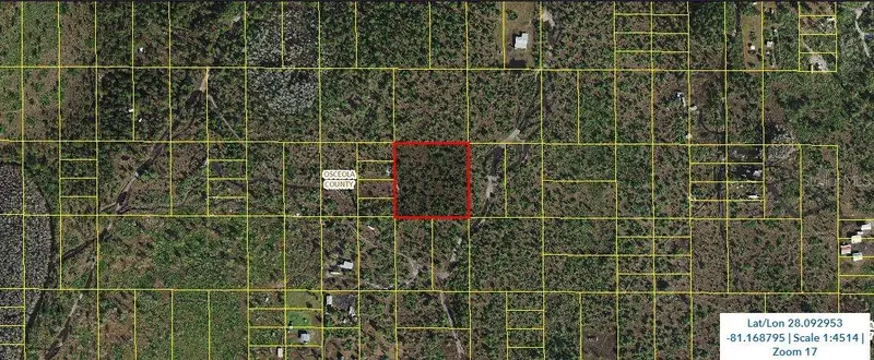 Holopaw Groves Rd, FL