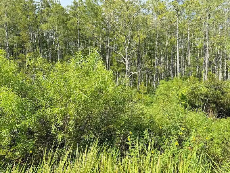 Old Polk City Rd, FL
