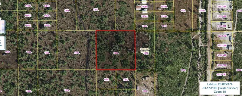 Holopaw Groves Rd, FL
