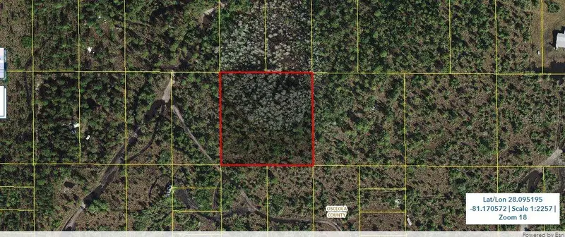 Holopaw Groves Rd, FL