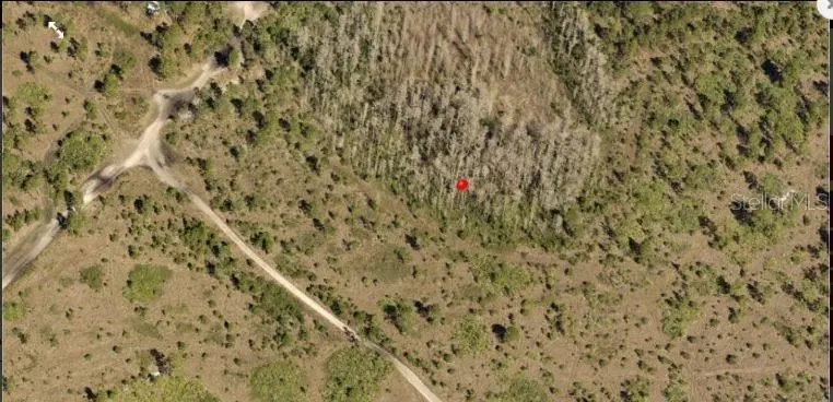 Holopaw Groves Rd, FL