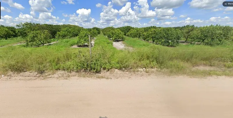 Holopaw Groves Rd, FL