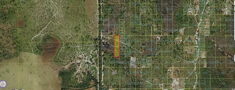 Holopaw Groves Rd, FL