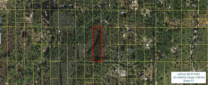 Holopaw Groves Road, FL