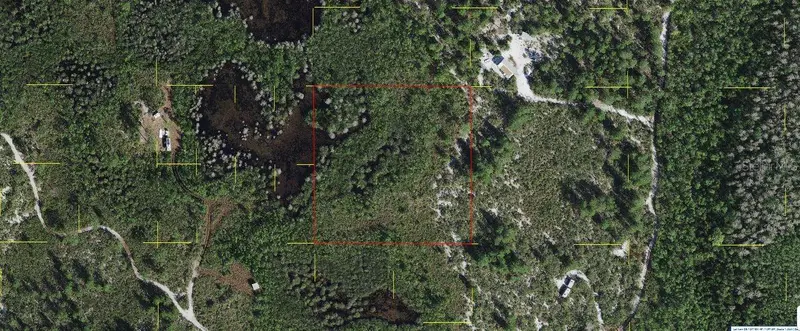Holopaw Groves Rd, FL