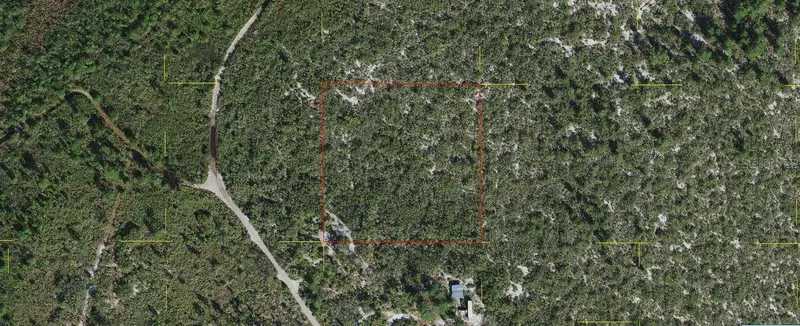Holopaw Groves Rd, FL