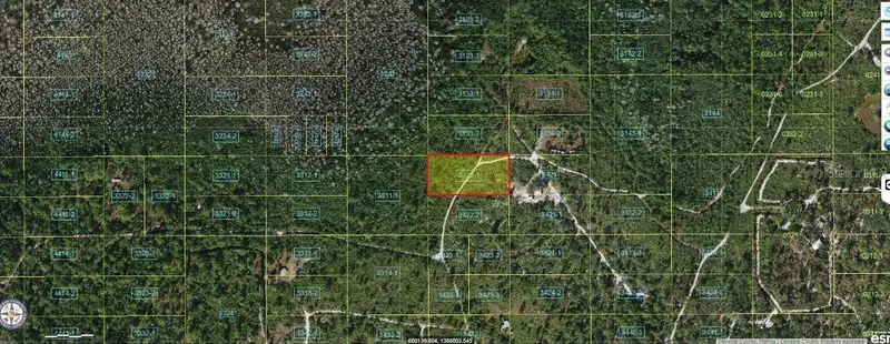 Holopaw Groves Rd, FL