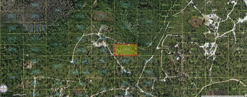 Holopaw Groves Rd, FL