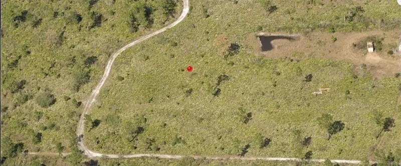 Holopaw Groves Rd, FL