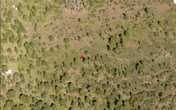 Holopaw Groves Rd, FL