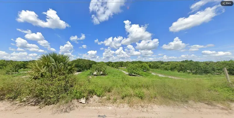 Holopaw Groves Rd, FL