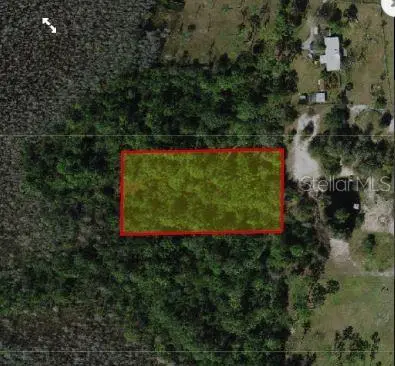 Holopaw Groves Rd, FL