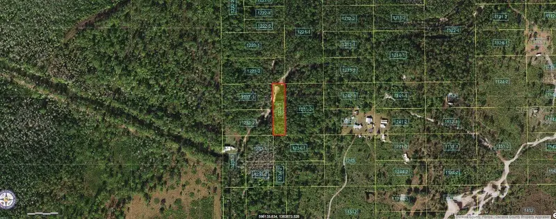 Holopaw Groves Rd, FL