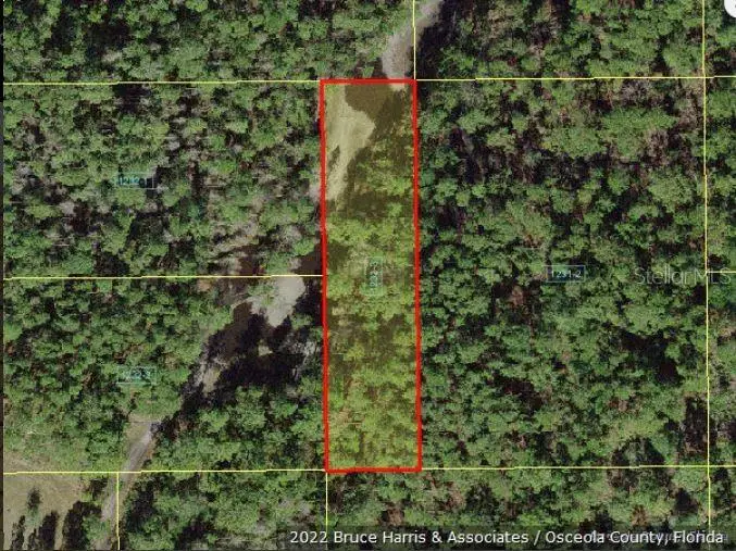 Holopaw Groves Rd, FL