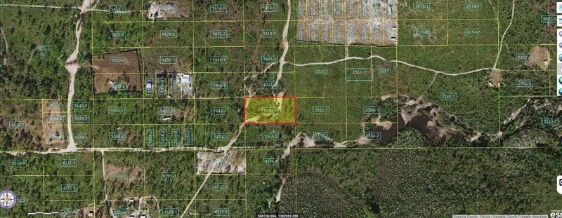 Holopaw Groves Road, FL