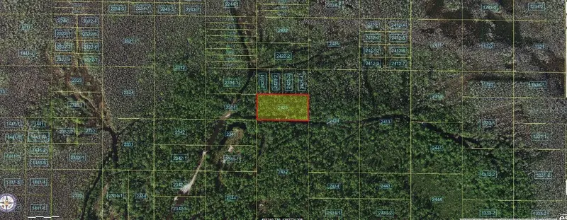 Holopaw Groves Rd, FL