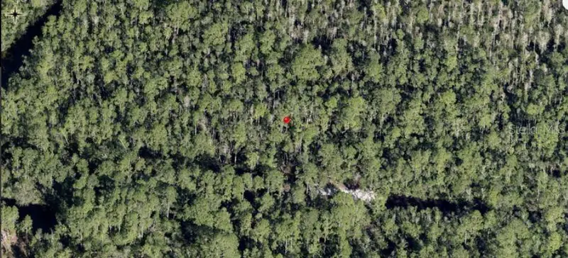 Holopaw Groves Rd, FL
