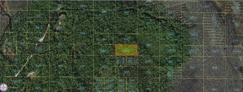 Holopaw Groves Rd, FL