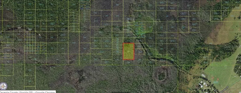 Holopaw Groves Rd, FL