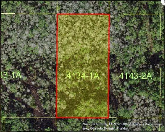 Holopaw Groves Rd, FL