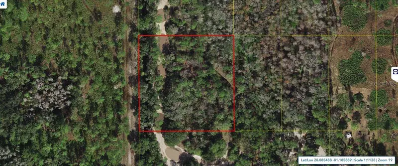 Holopaw Groves Rd, FL