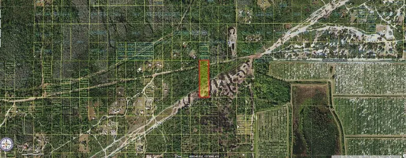 Holopaw Groves Rd, FL