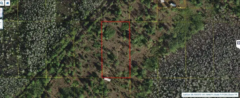 Holopaw Groves Rd, FL