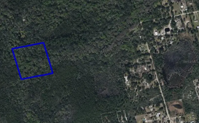 095 Pine Needle Rd, FL