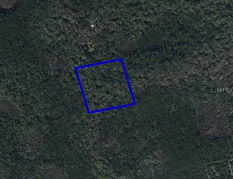 095 Pine Needle Rd, FL