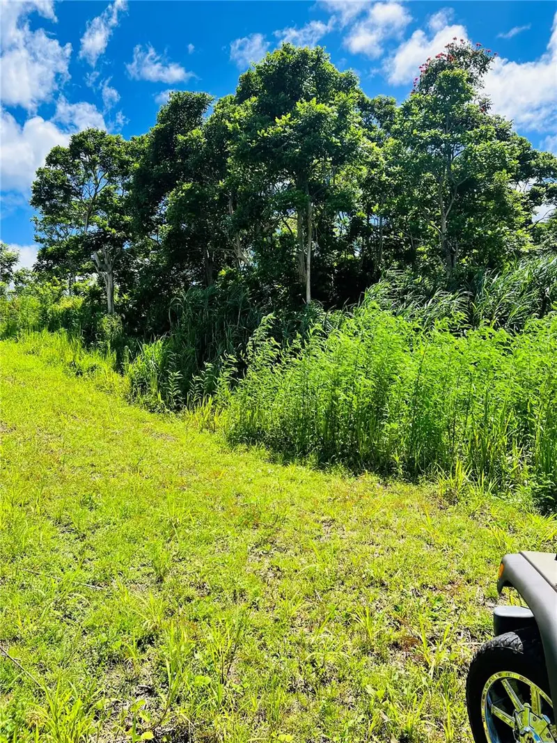 857 Carretera, PR