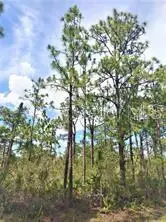 Lot 15 Ixora Dr, FL