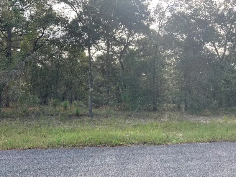 Se 139th Ter Lot 19, FL