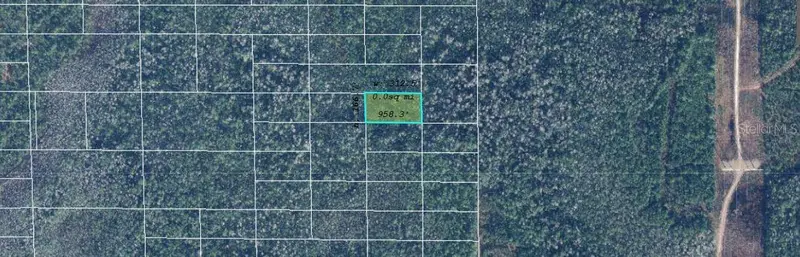 Dill Rd, FL