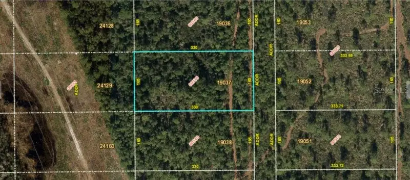 Fort Christmas Rd, FL